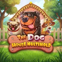 The Dog House Multihold gra w Beep Beep Casino dla graczy z Polski The Dog House Multihold gra w Beep Beep Casino dla graczy z Polski